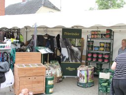 IMG_1440_web